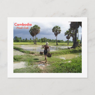 農家はプレアダックの彼のフィールドで ポストカード