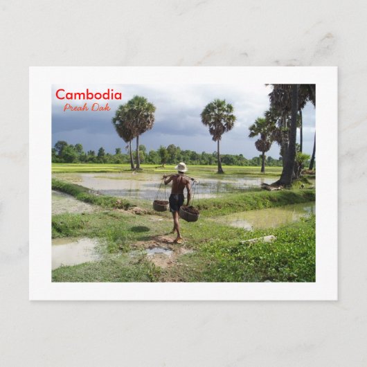 農家はプレアダックの彼のフィールドで ポストカード (正面)