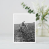 農家をトラクターで耕す ポストカード (スタンド正面)