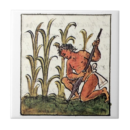 農家アステカ栽培 タイル (正面)