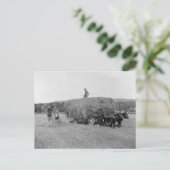 農家カット干し草， 1906 ポストカード (スタンド正面)