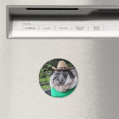 農家ピクルス磁石 マグネット (インサイチュ (食洗機))