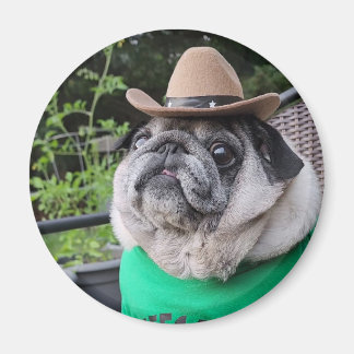 農家ピクルス磁石 マグネット