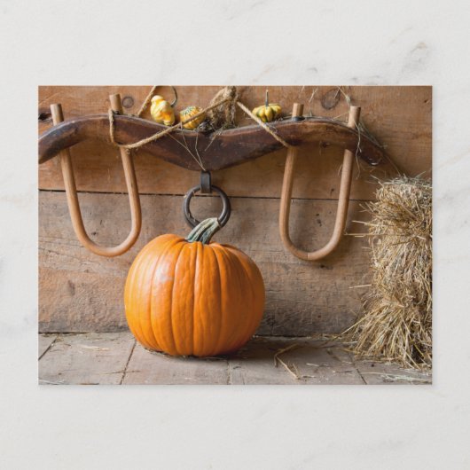 農家博物館干し草のベールと納屋のカボチャ ポストカード (正面)