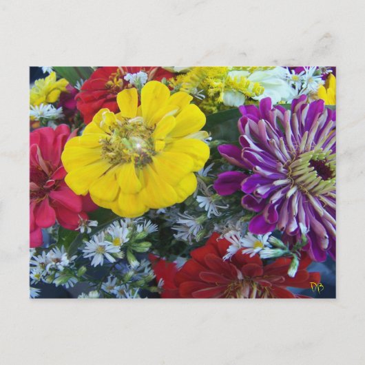 農家市場はがき ポストカード (正面)