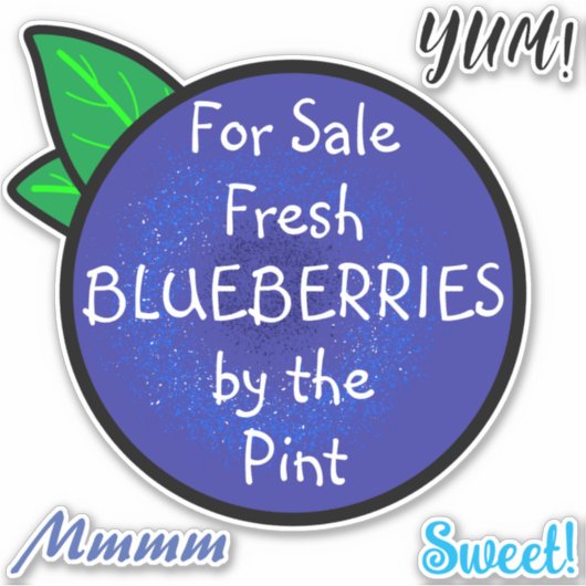 農家市場カスタマイズ可能な文字ブルーベリーサイン/ シール (正面)