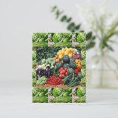 農家市場ベジディライトシェフ料理アイディア ポストカード (スタンド正面)