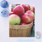 農家市場 チラシ (シングル)