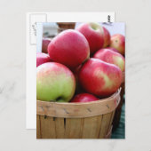 農家市場 ポストカード (正面/裏面)