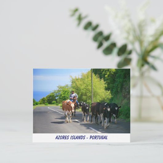 農家 ポストカード (スタンド正面)