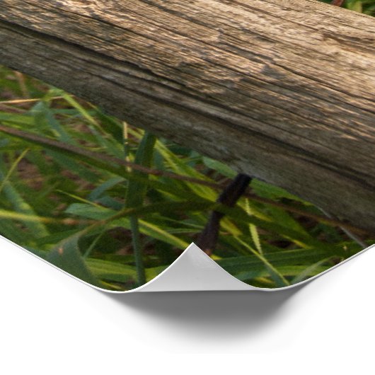 農村のファームフェンスポストと干し草の葉 ポスター (角)