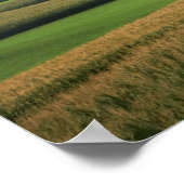 農村中西部ファームフィールドランドスケープカラー16x20 ポスター (角)