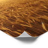 農村小麦畑 ポスター (角)