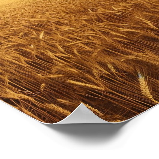 農村小麦畑 ポスター (角)