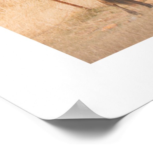 農村景観野生の馬の野鳥 ポスター (角)