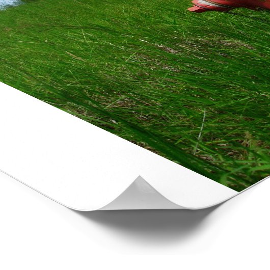 農村消火栓 ポスター (角)