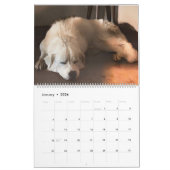 農村生活カレンダー2023 カレンダー (1月 2026)