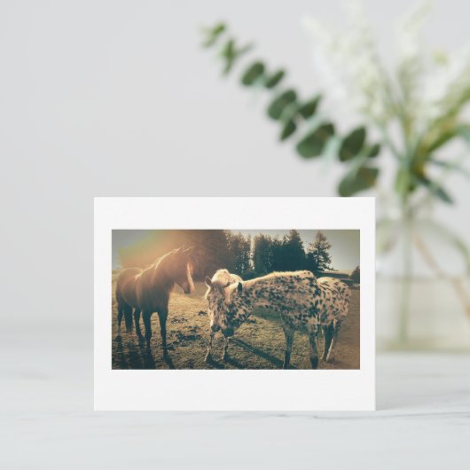 農村道路の友人 ポストカード (スタンド正面)