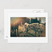 農村道路の友人 ポストカード (正面/裏面)