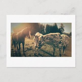 農村道路の友人 ポストカード