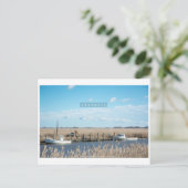 農村部とワイルドデラウェア。 ポストカード (スタンド正面)