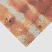 農村部の外壁の非常に粗い金属 薄葉紙 (詳細)