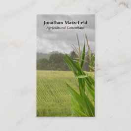 農業のトウモロコシの景色の写真 名刺