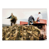 農業カード (正面横)