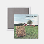 農業ヘールベールスクエアマグネット マグネット (正面/裏面)