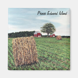 農業ヘールベールスクエアマグネット マグネット