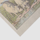 農業動物の池とエフェメラデクページ 薄葉紙 (詳細)