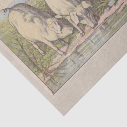 農業動物の池とエフェメラデクページ 薄葉紙 (詳細)