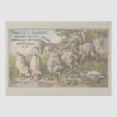 農業動物の池とエフェメラデクページ 薄葉紙 (正面)