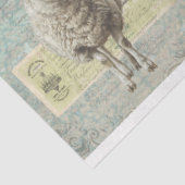 農業動物の組織の分離紙 薄葉紙 (詳細)