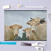 農業動物タン牛の写真 薄葉紙 (クラフト)