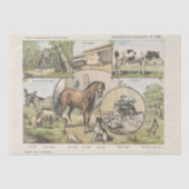農業動物ヴィンテージオランダアートワークの分離 薄葉紙 (正面)