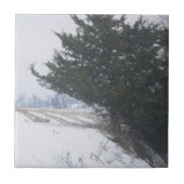 農業業 タイル (正面)