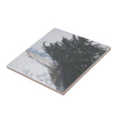 農業業 タイル (側面)