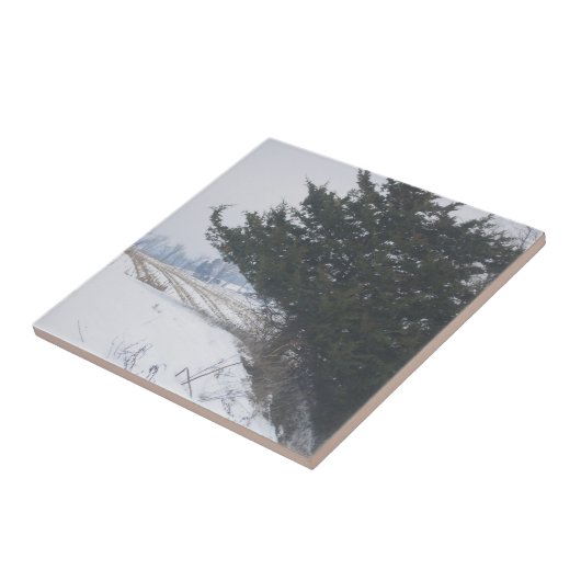 農業業 タイル (側面)