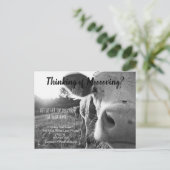 農業牛の紹介実在マーケティング ポストカード (スタンド正面)