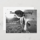 農業牛の紹介実在マーケティング ポストカード (正面/裏面)