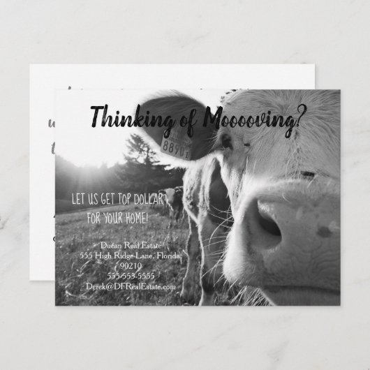 農業牛の紹介実在マーケティング ポストカード (正面/裏面)