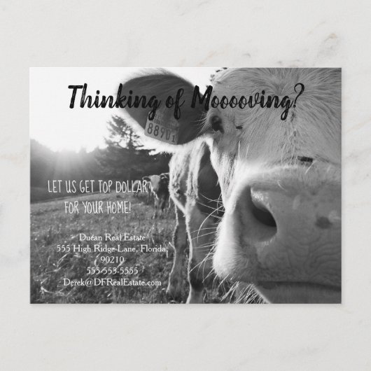 農業牛の紹介実在マーケティング ポストカード (正面)