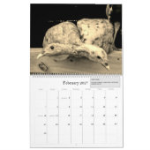 農業生活 – Dark Moon Produce - 2021 カレンダー (2月 2027)