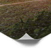 農業用灌漑システム ポスター (角)