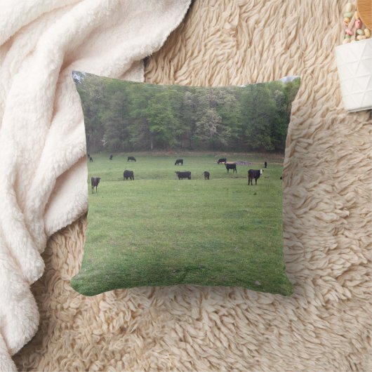 農業用生活枕 クッション (ブランケット)