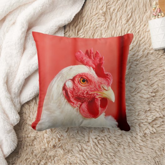 農業用鶏 クッション (ブランケット)