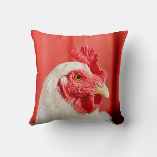 農業用鶏 クッション (裏面)