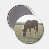 農業馬の放牧 マグネット (正面/裏面)