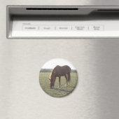 農業馬の放牧 マグネット (インサイチュ (食洗機))